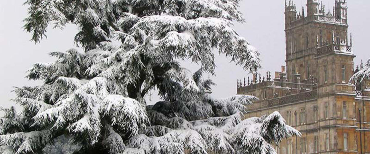 Image courtesy Virgin Vacations Image courtesy Virgin Vacations