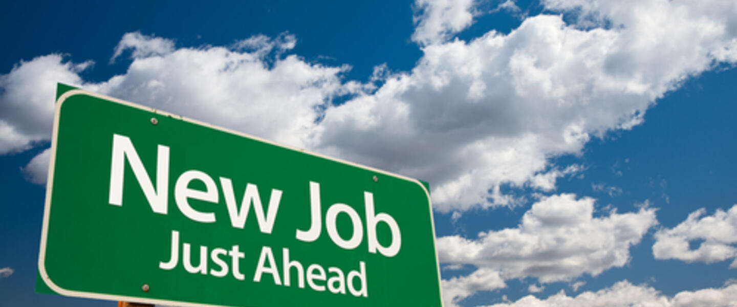 Certain Professions Offer a Higher Level of Job Security Certain Professions Offer a Higher Level of Job Security