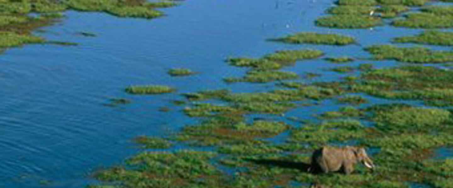 image from nationalgeographic.com image from nationalgeographic.com