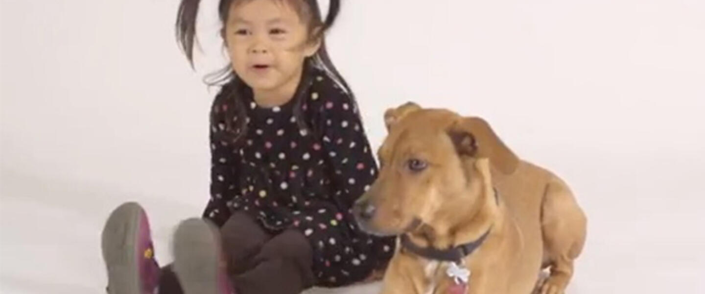 Molly and Joey are spokeschild and dog against puppy mills and pet stores that sell pups. Molly and Joey are spokeschild and dog against puppy mills and pet stores that sell pups.