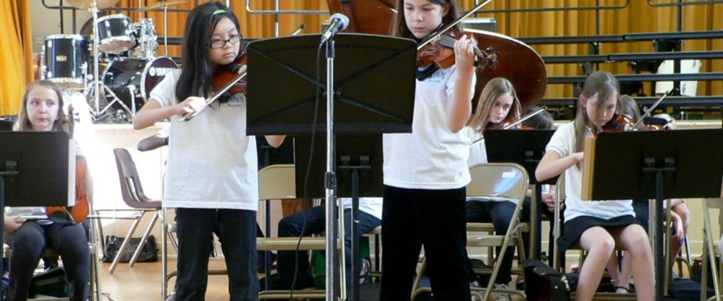 Does your elementary school have an orchestra? Does your elementary school have an orchestra?