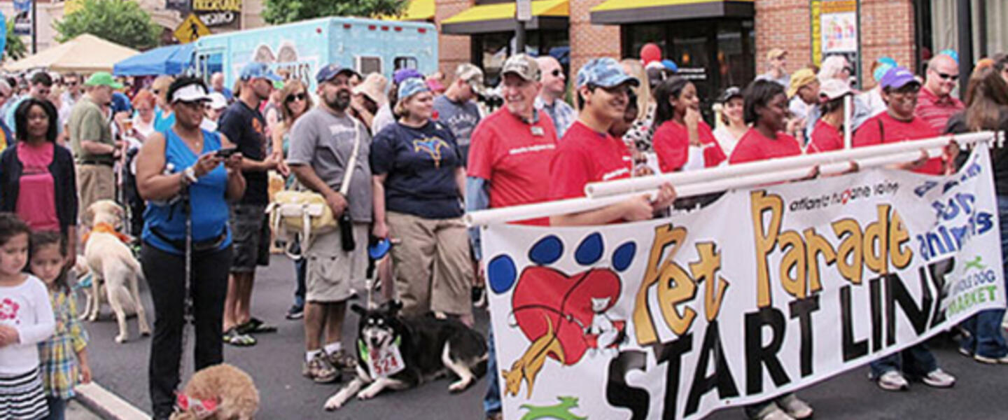 Owners and their pets walk to raise money for animal shelters. Photo via Atlanta Humane Society Owners and their pets walk to raise money for animal shelters. Photo via Atlanta Humane Society