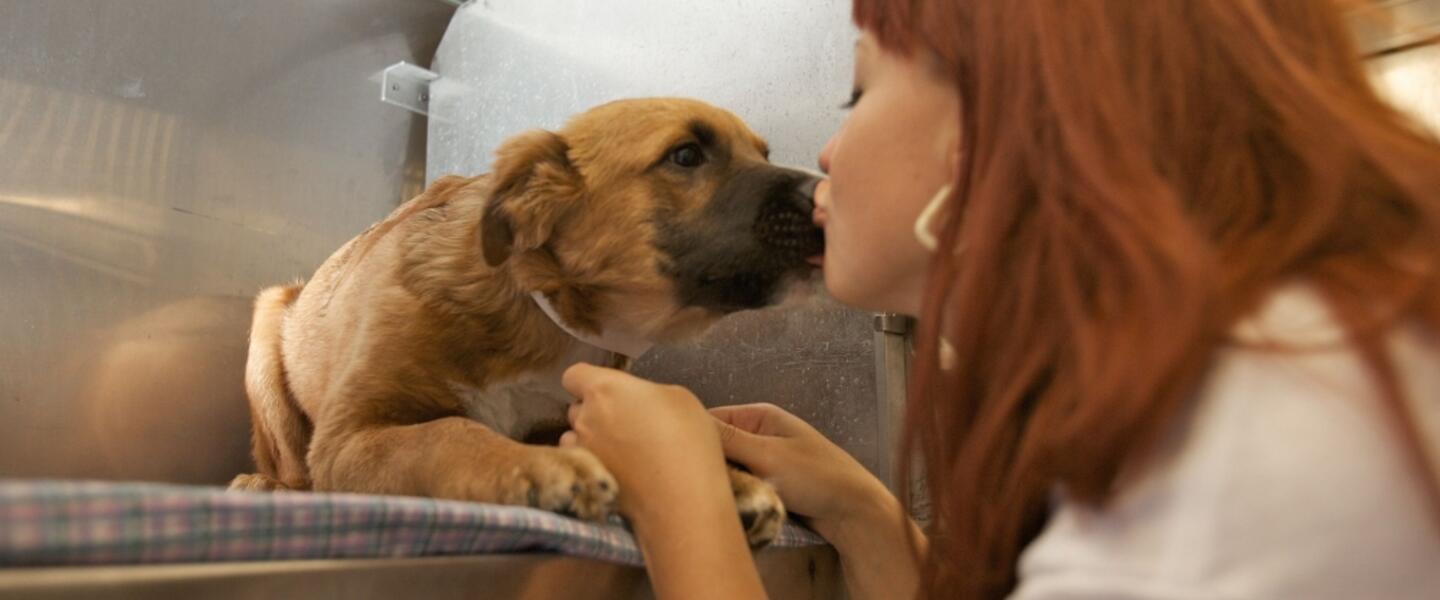 PetSmart has over 600 job openings in Georgia. PetSmart has over 600 job openings in Georgia.