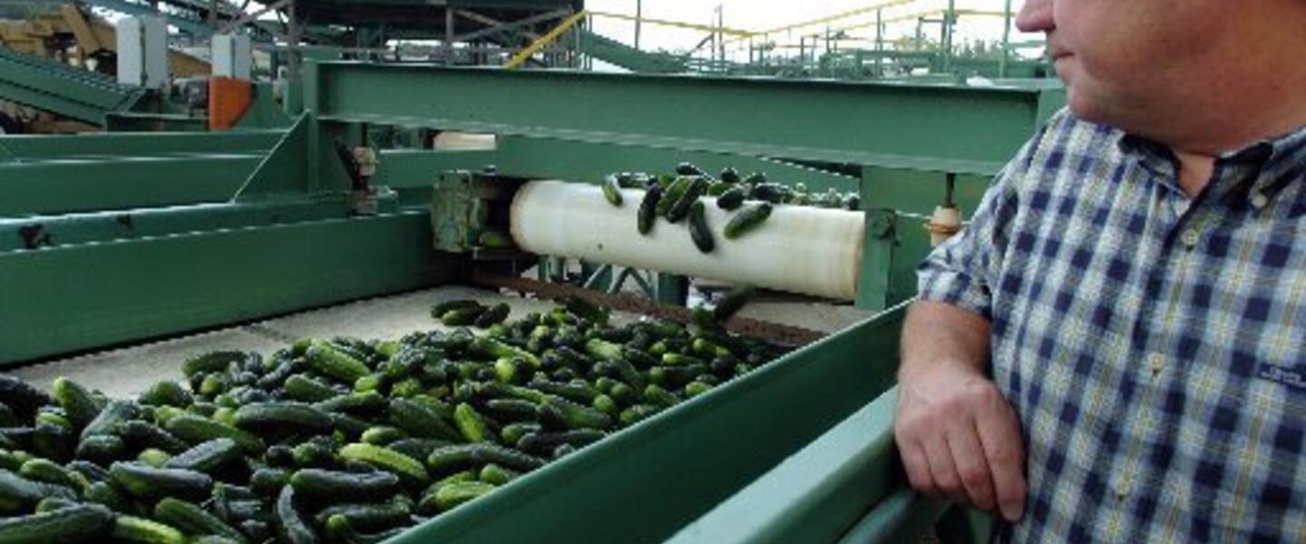 Mr. Chips pickle facility is 120,000 square feet in the Ocmulgee East Industrial Park. Mr. Chips pickle facility is 120,000 square feet in the Ocmulgee East Industrial Park.