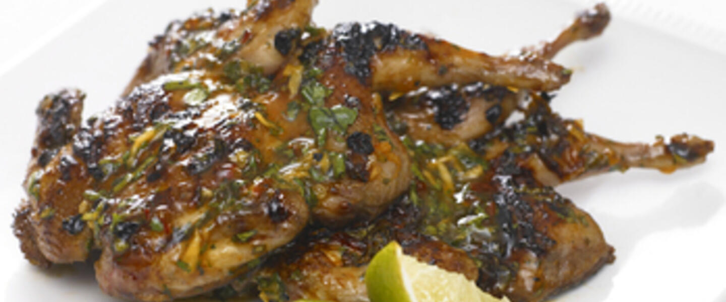 Georgia Grown Quail in Becoming More Popular Worldwide Georgia Grown Quail in Becoming More Popular Worldwide