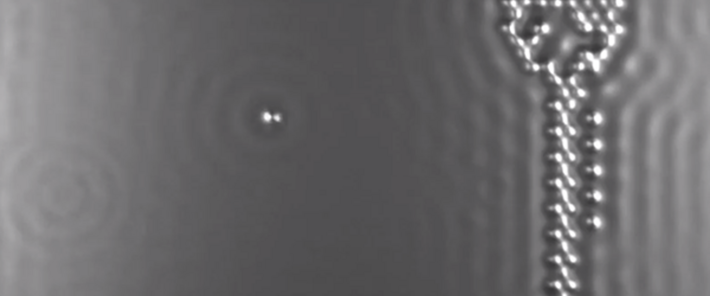 A Boy and his Atom (ball) is the smallest movie ever, created by IBM scientists A Boy and his Atom (ball) is the smallest movie ever, created by IBM scientists