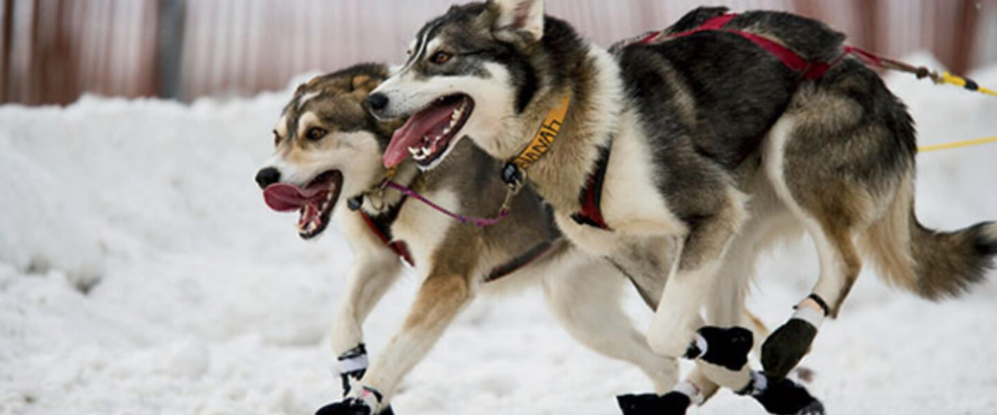 Image from outsideonline.com