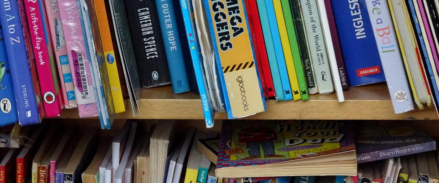 Books on a bookshelf