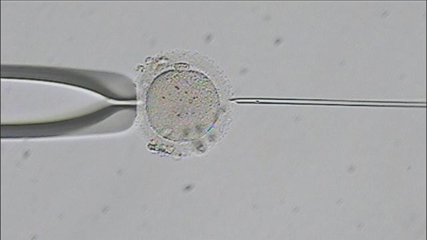 Fighting for Fertility: asset-mezzanine-16x9