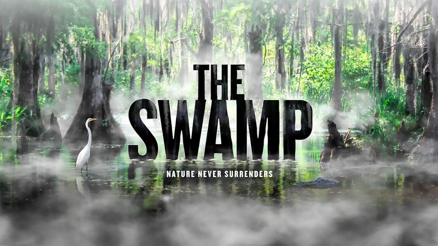 The Swamp: asset-mezzanine-16x9