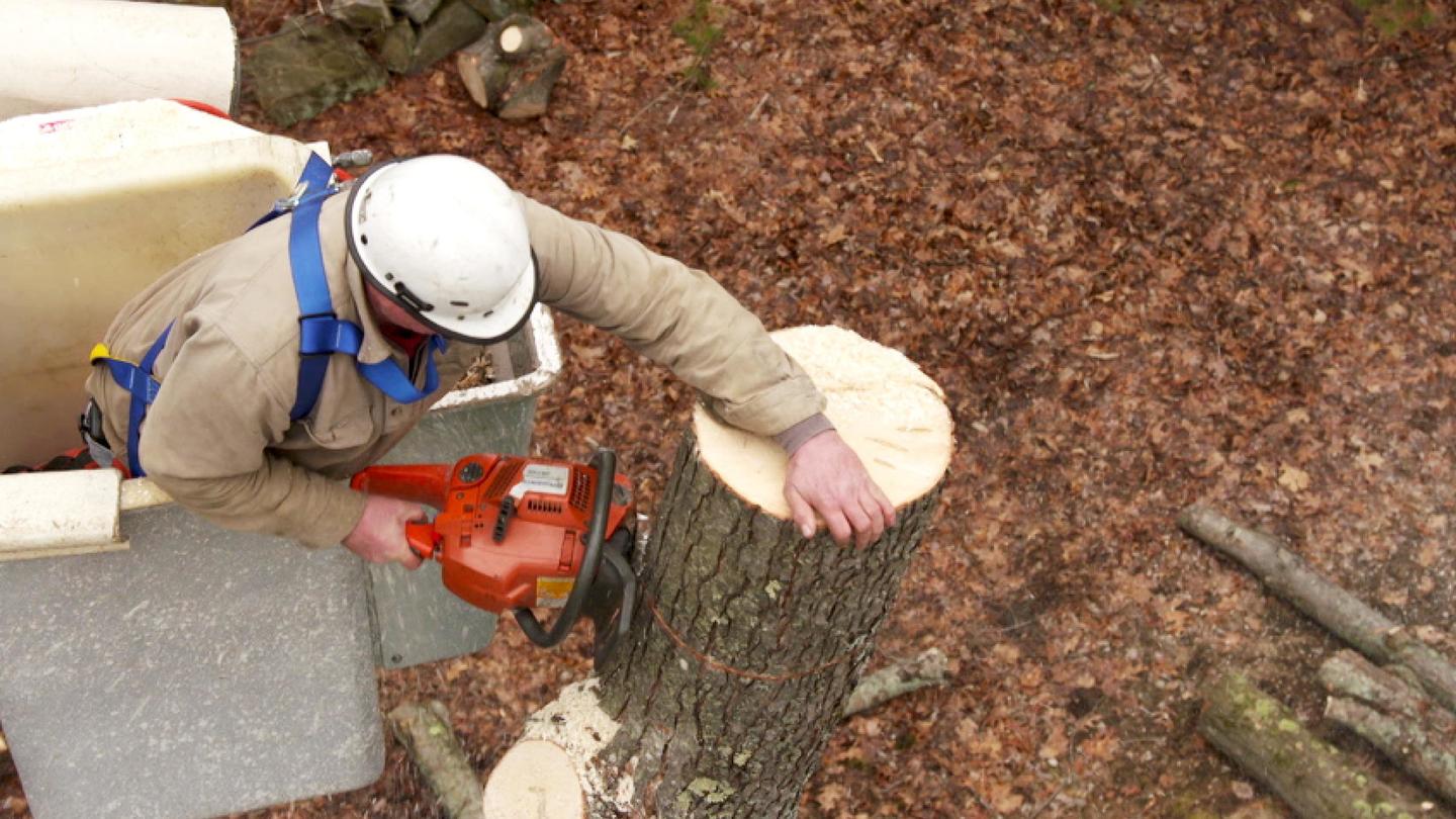 Ask TOH | Tree Removal, Garage Door Opener: asset-mezzanine-16x9