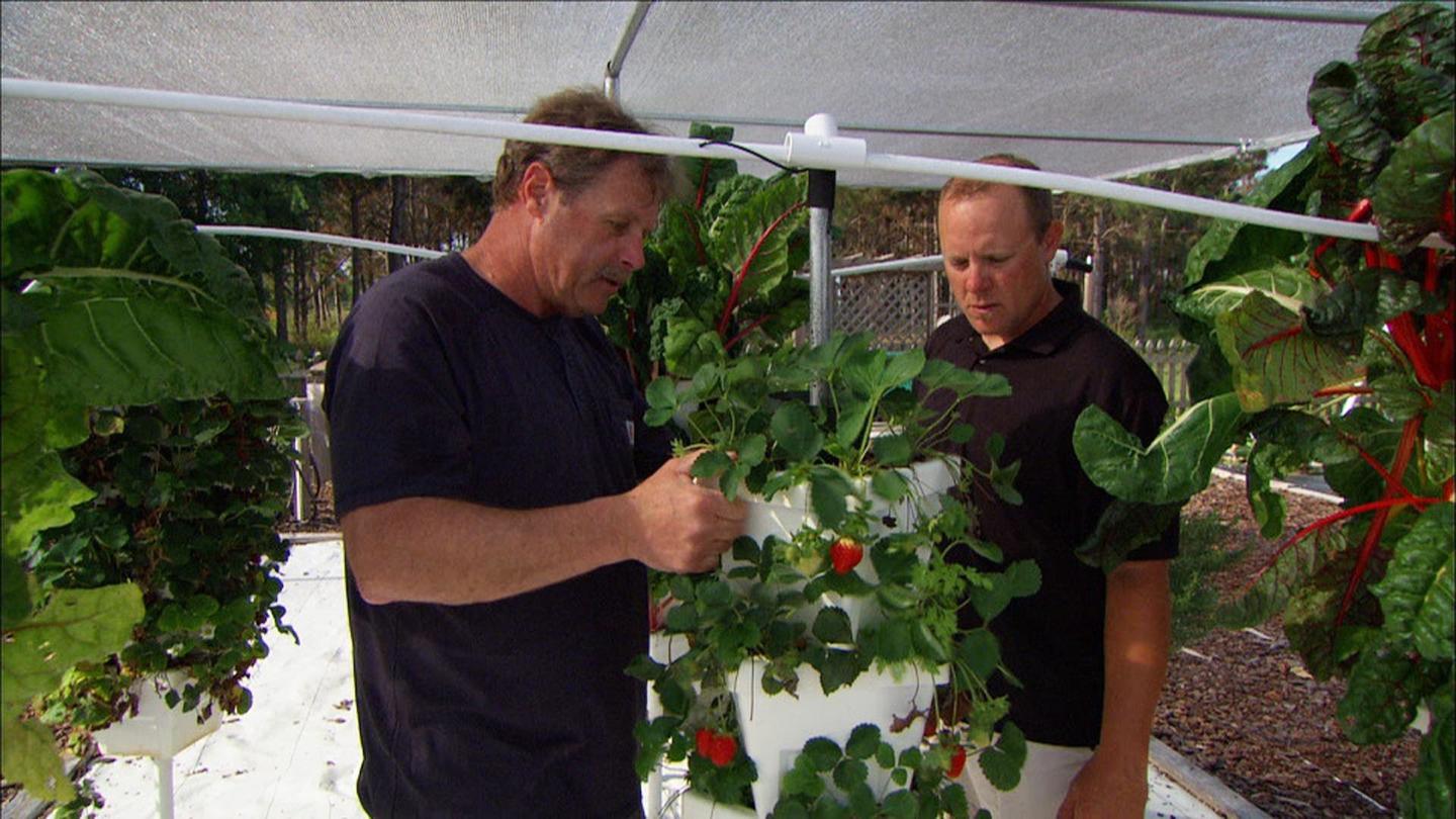 Ask This Old House | Hydroponic Garden, New Spigot: asset-mezzanine-16x9