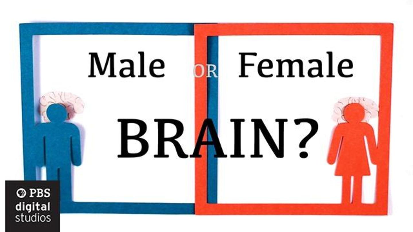 Are Male and Female Brains Different?: asset-mezzanine-16x9