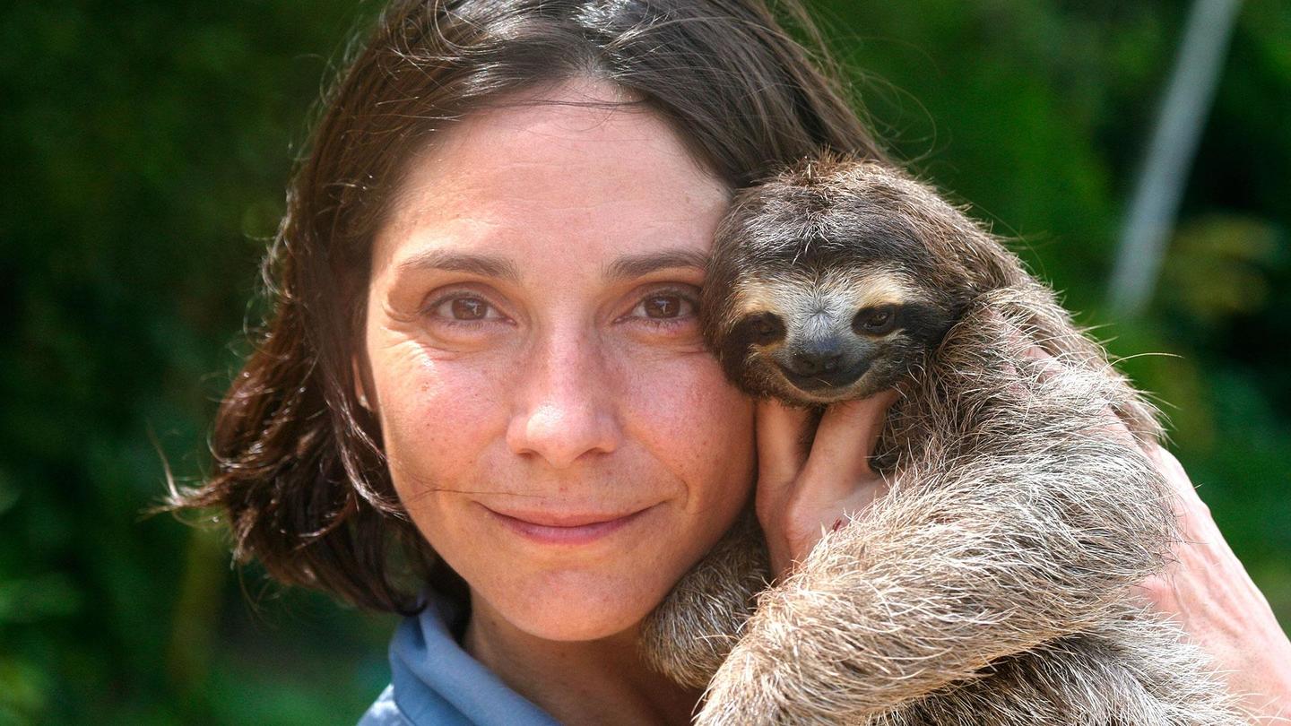 A Sloth Named Velcro: asset-mezzanine-16x9