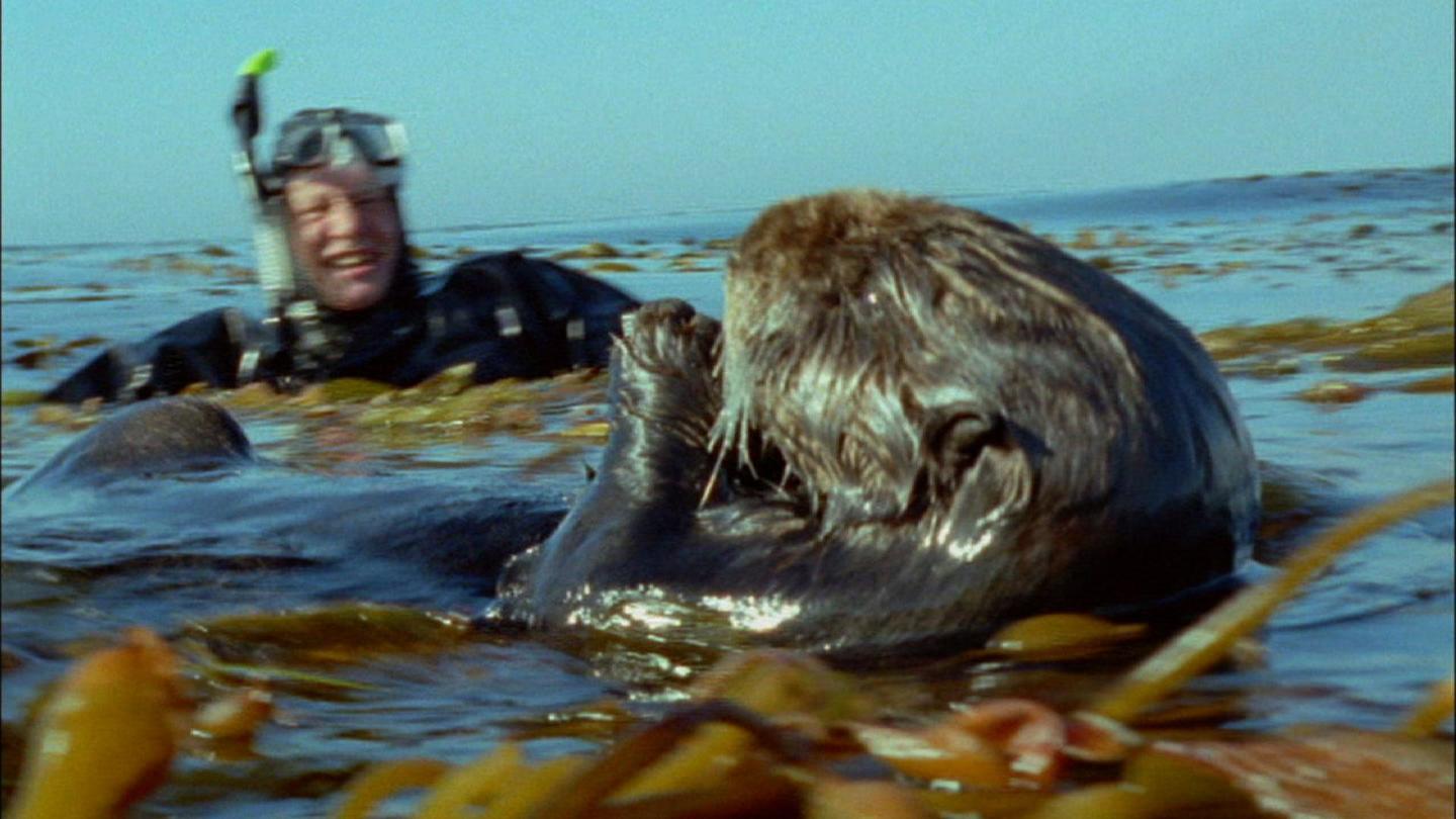 Attenborough's Life Stories: Our Fragile Planet: asset-mezzanine-16x9