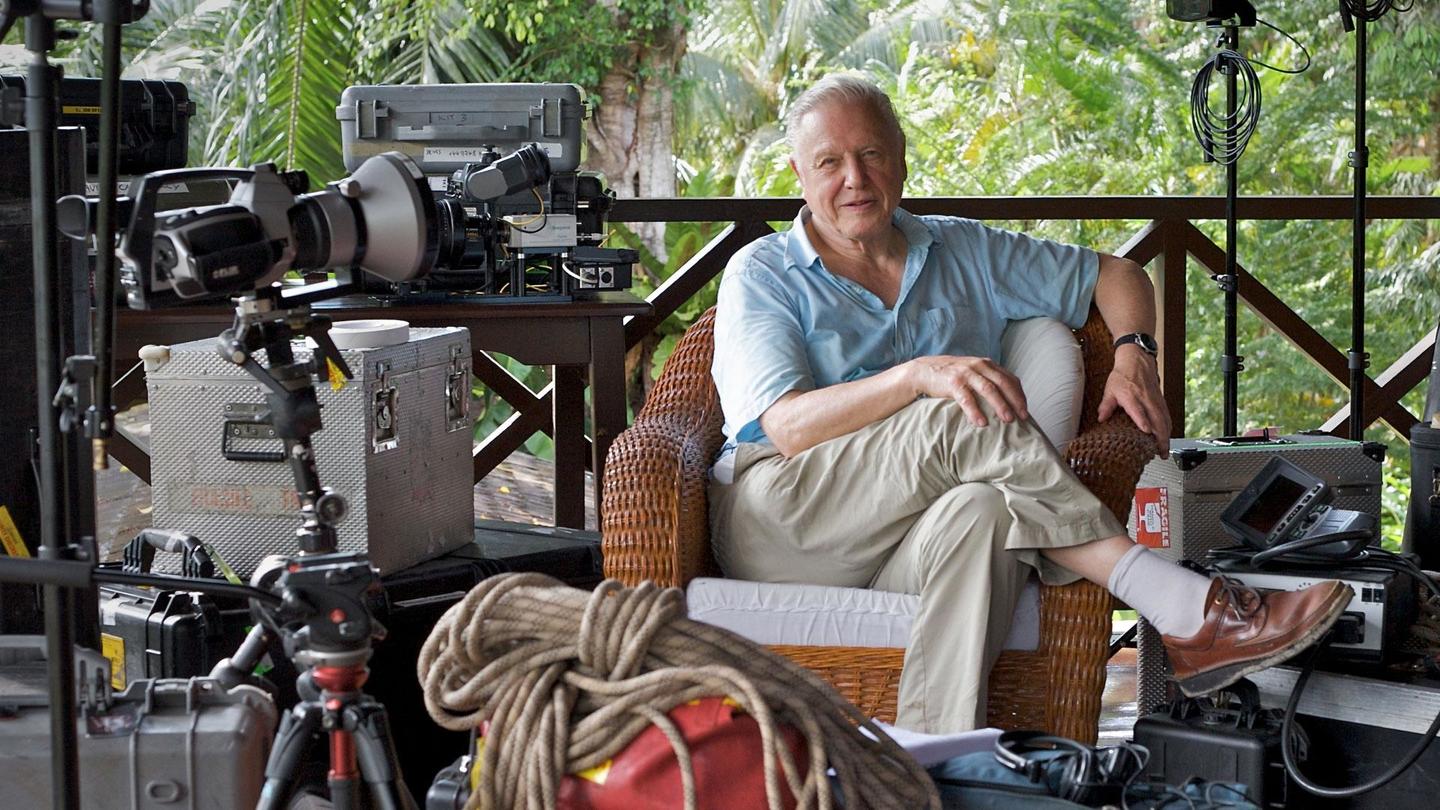 Attenborough's Life Stories: Life on Camera: asset-mezzanine-16x9