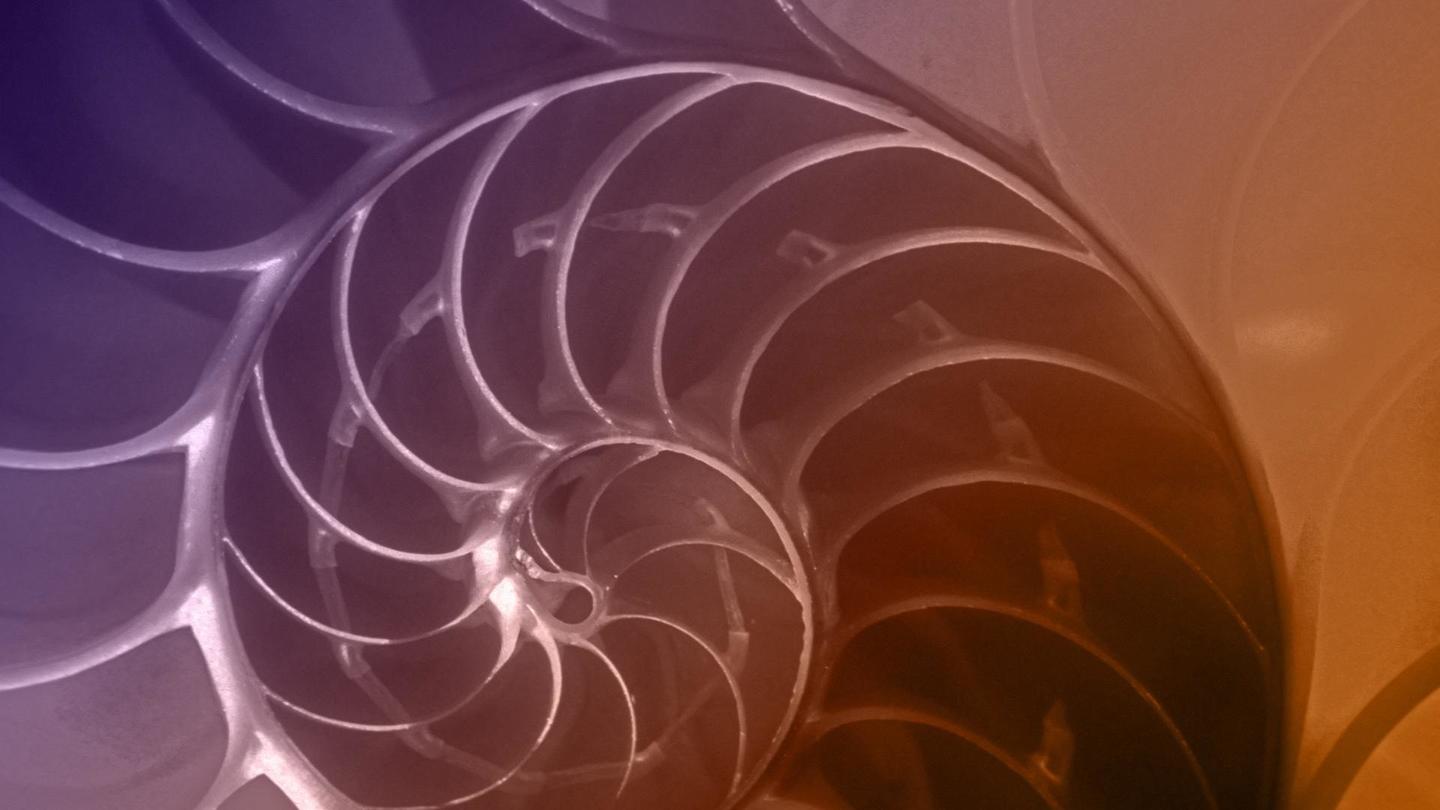 The Great Math Mystery: asset-mezzanine-16x9