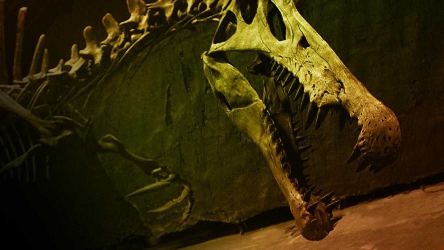 Bigger Than T. rex: asset-mezzanine-16x9