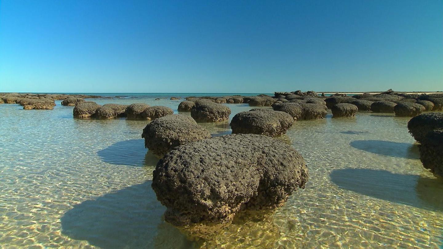 Australia's First 4 Billion Years: Awakening: asset-mezzanine-16x9