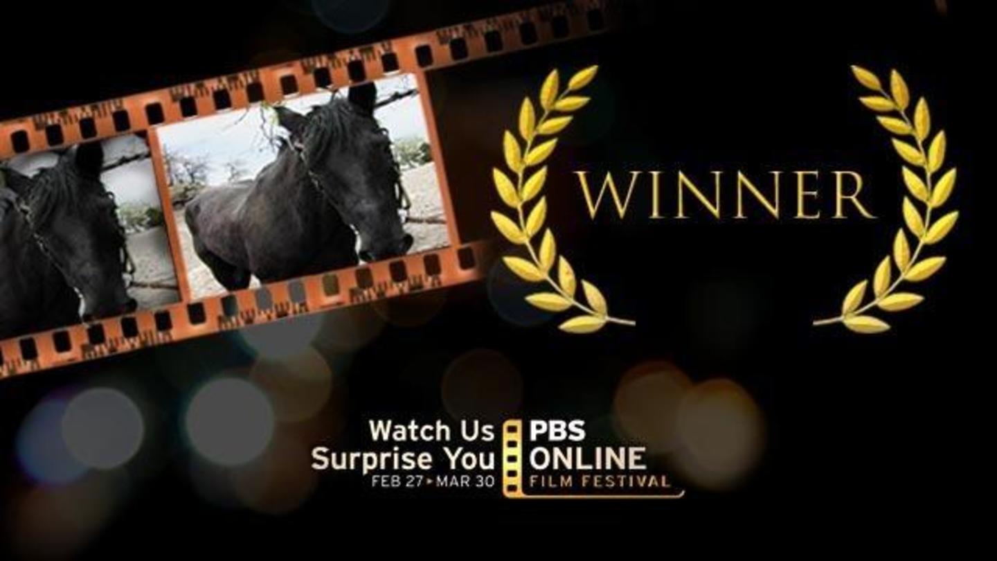 2012 Festival Winner | Horse You See: asset-mezzanine-16x9