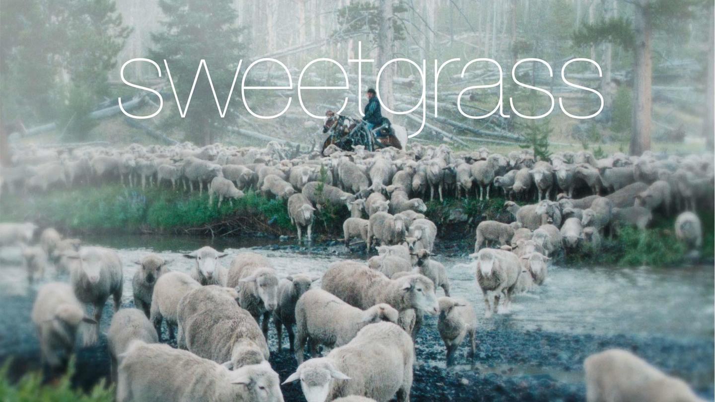 Mobile Exclusive: Sweetgrass: asset-mezzanine-16x9