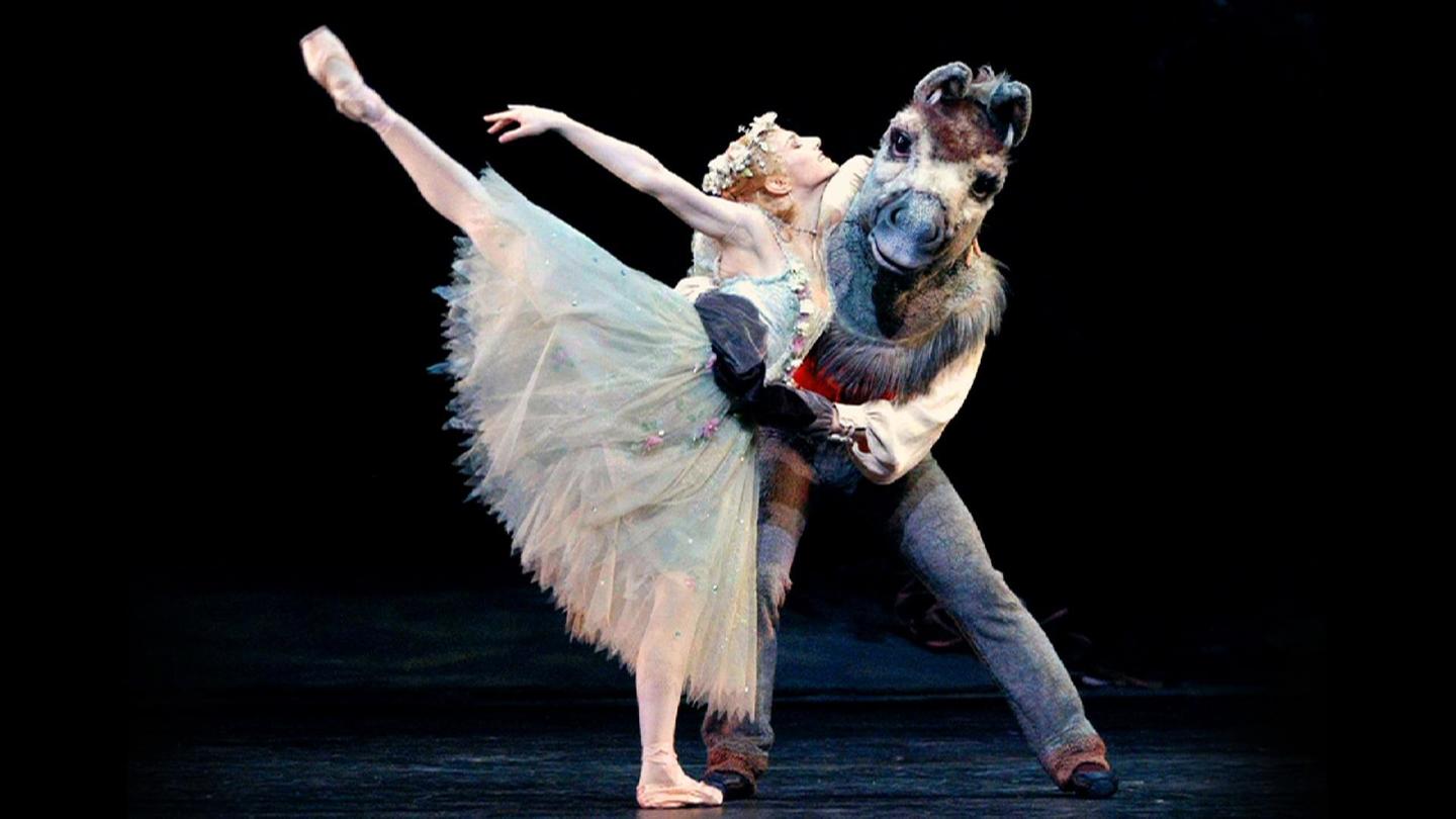 Midsummer's Night Dream with Hugh Bonneville: asset-mezzanine-16x9