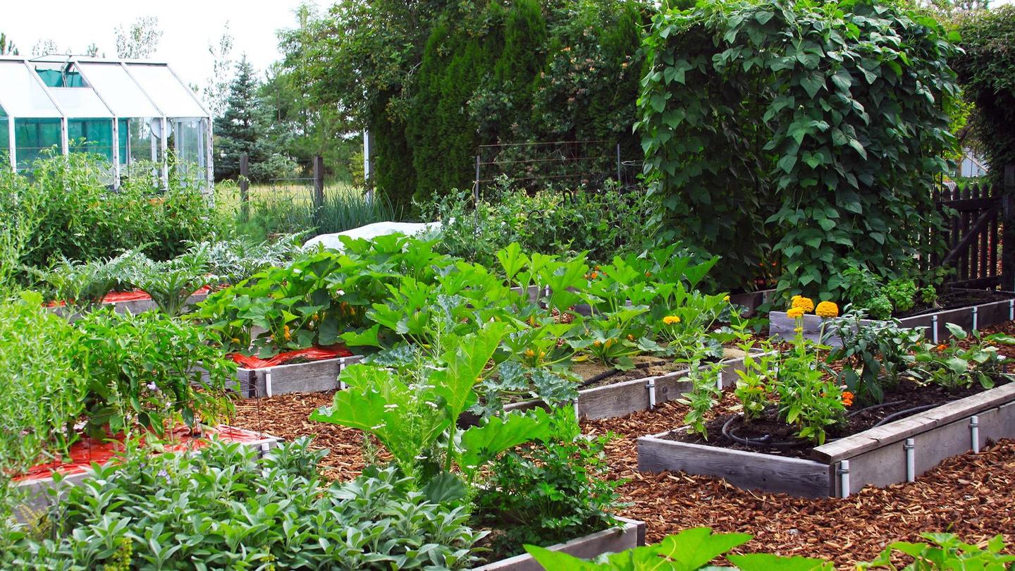 In Susan’s Garden: asset-mezzanine-16x9