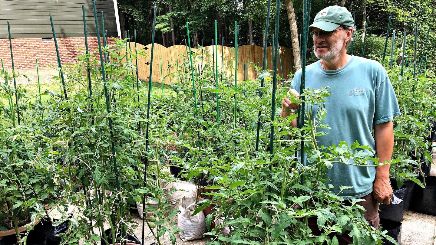 Epic Tomatoes with Craig LeHoullier: asset-mezzanine-16x9