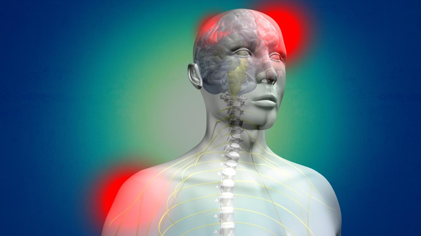 Pain Secrets: The Science of Everyday Pain: asset-mezzanine-16x9