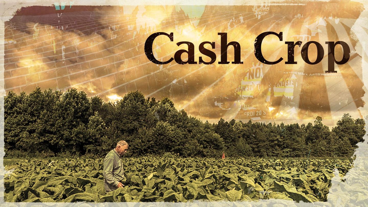 Cash Crop: asset-mezzanine-16x9