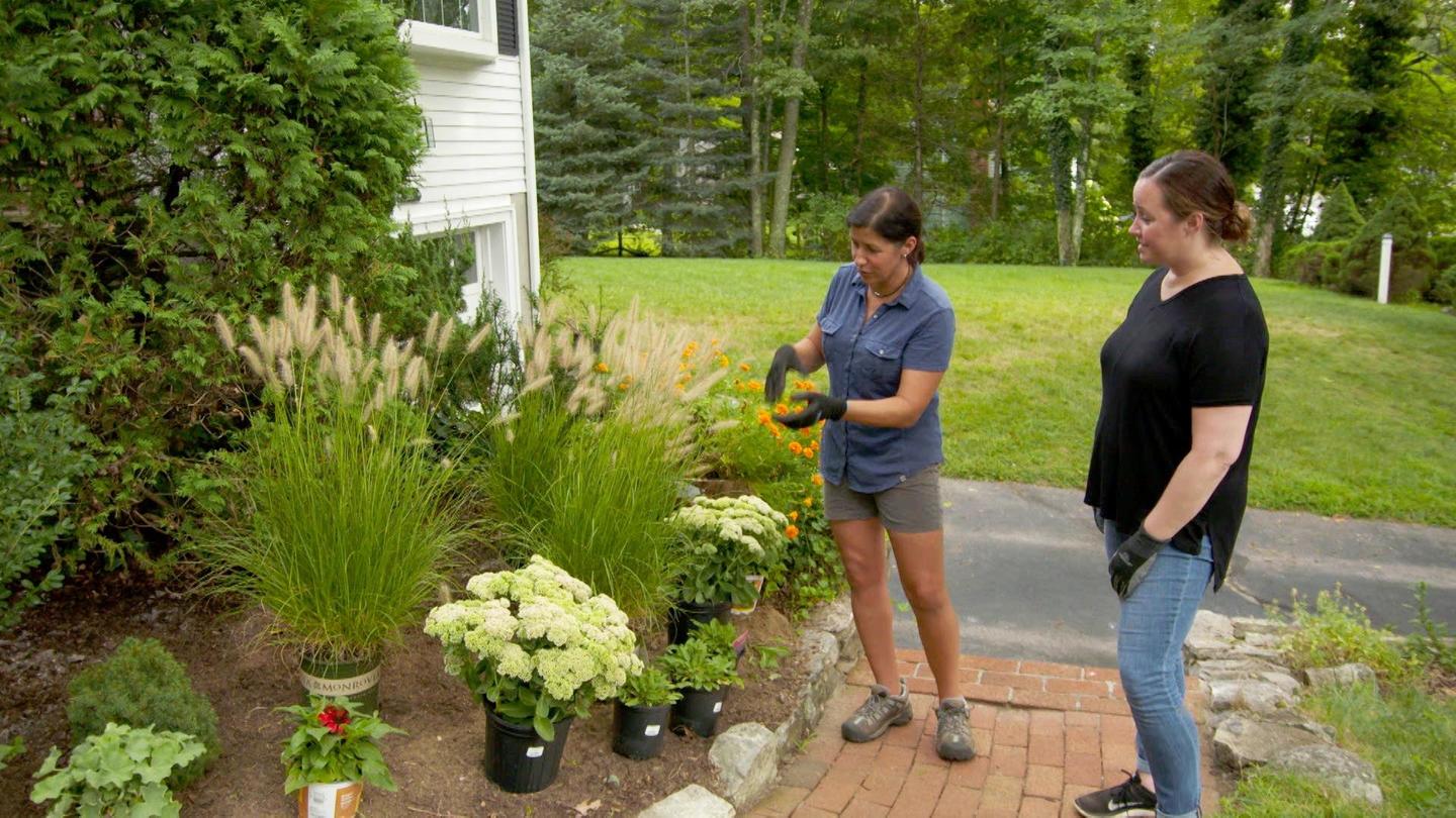 Scorched Floor, Hardy Plantings | Ask TOH: asset-mezzanine-16x9