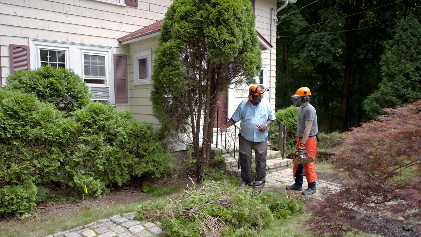 E10 | Trash Insert, Arborvitae Removal | Ask This Old House: asset-mezzanine-16x9
