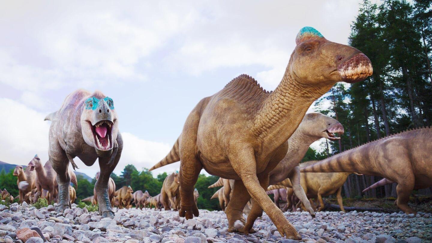 Did Dinosaurs Abandon Their Young to Help Them Survive?: asset-mezzanine-16x9