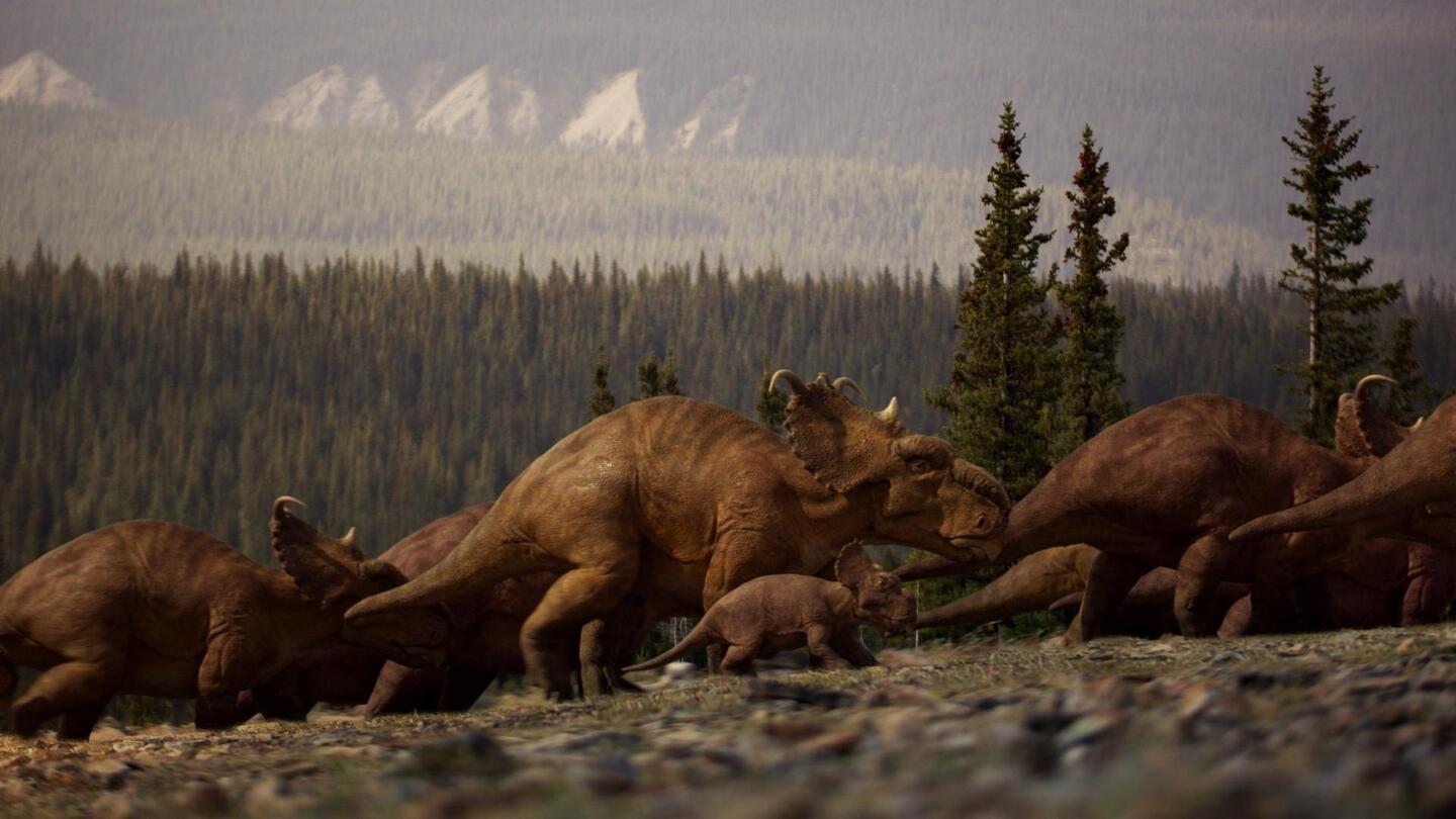 When Dinosaurs Ruled the Arctic Circle: asset-mezzanine-16x9