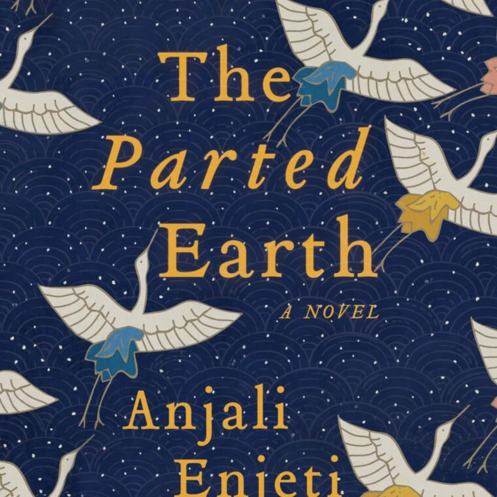 Anjali Enjeti in conversation with Virginia Prescott