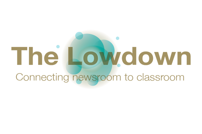 The Lowdown