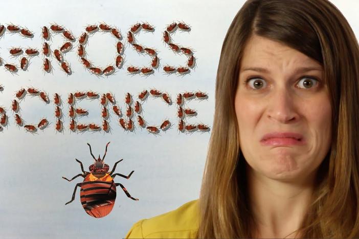 Gross Science