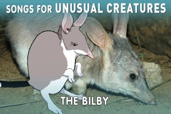 Songs for Unusual Creatures