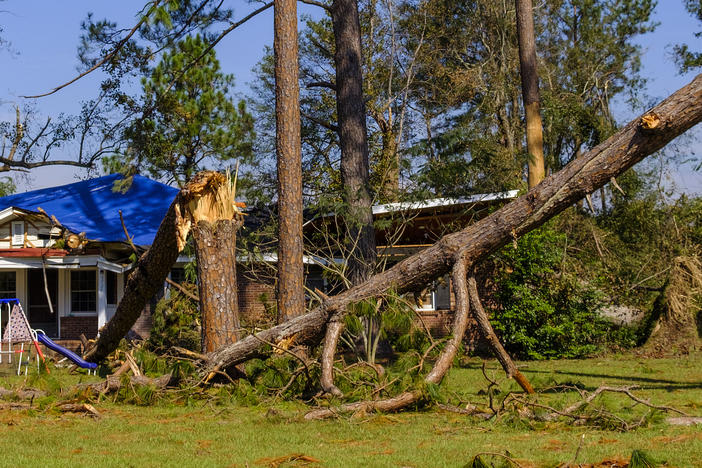 Hurricane Michael storm damage