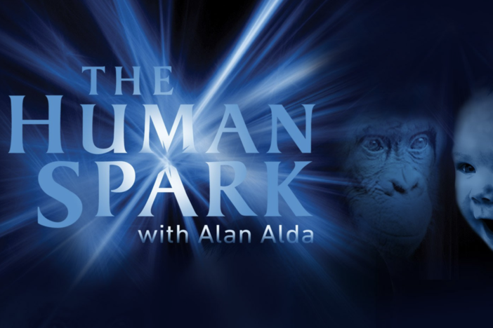 The Human Spark collection logo