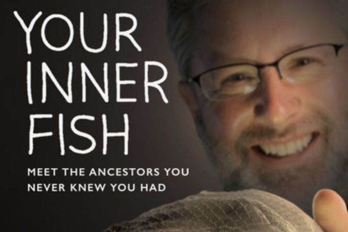 Your Inner Fish collection logo