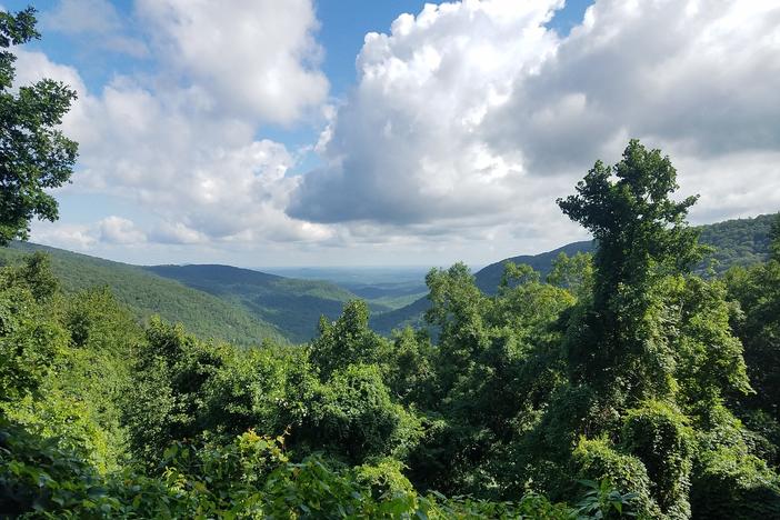 North Georgia mountains
