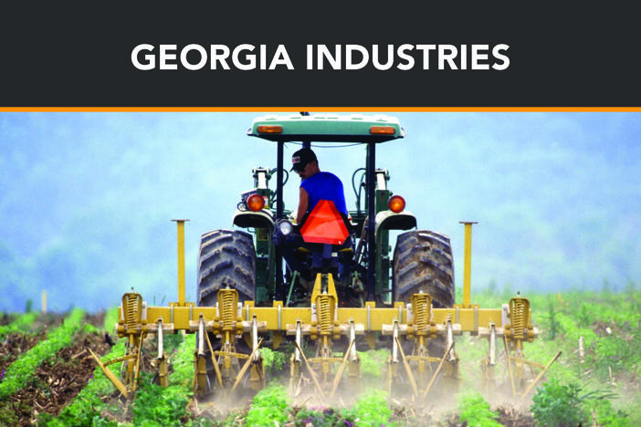 Georgia Stories: Georgia Industries