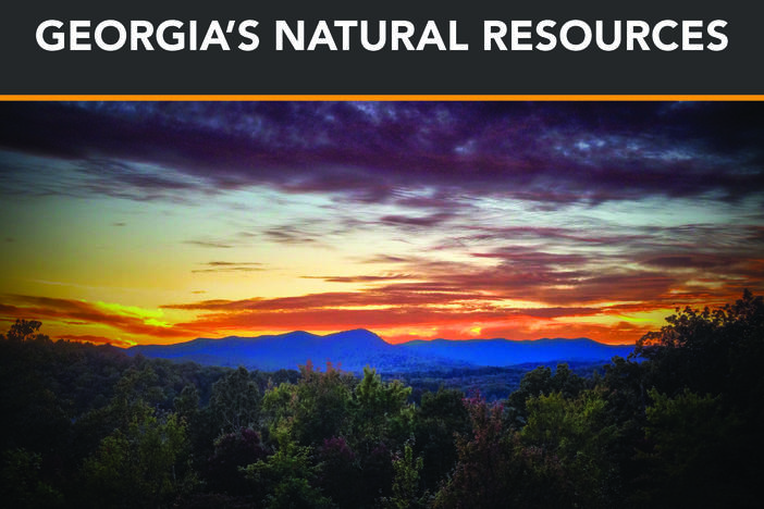Georgia's natural resources banner