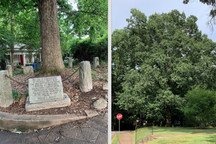 On the left, a stone placard with undecipherable writing stands before a large tree fenced in behind a black chain; on the right, a large tree in the distance with a small stop sign on the left side.