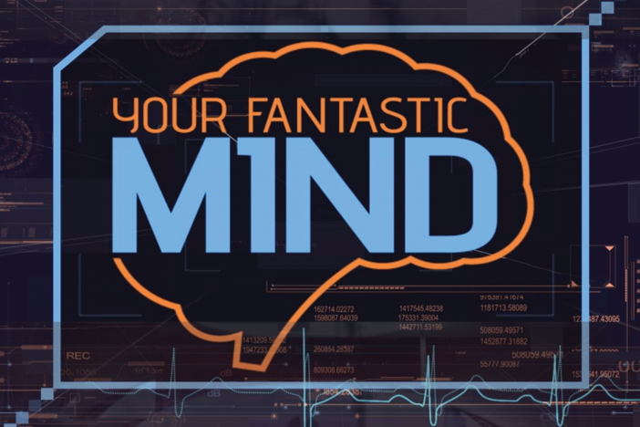 Your Fantastic Mind