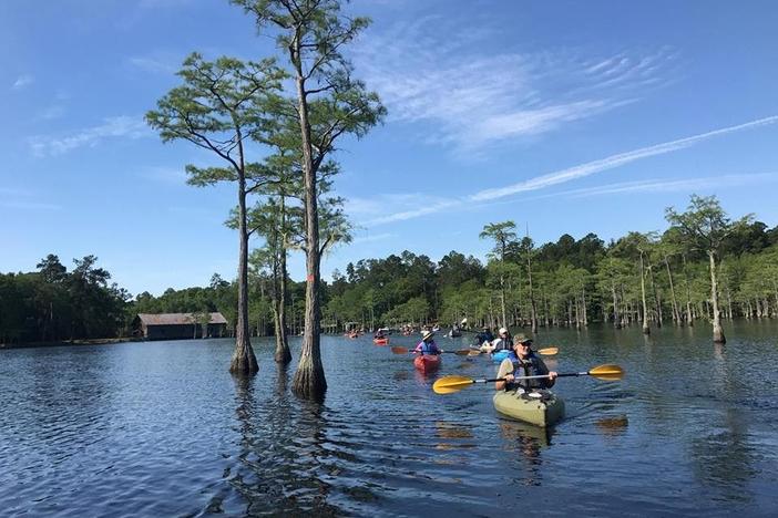 Kayackers on the Ogeechee River