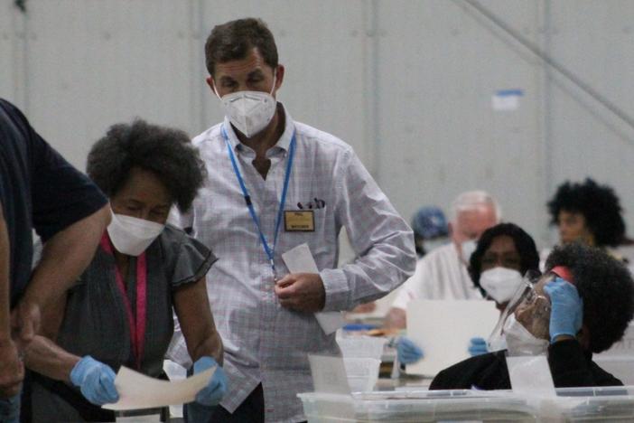 Votes Depend: Who’s Watching the Georgia Election Observers?