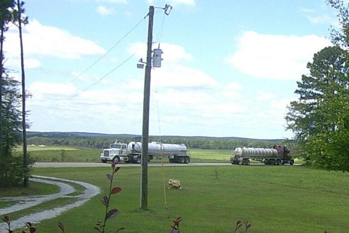 Trucks carrying chicken sludge