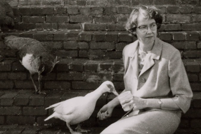 A photo of Author Flannery O'Connor as she sits near ducks and gazes out around her. 